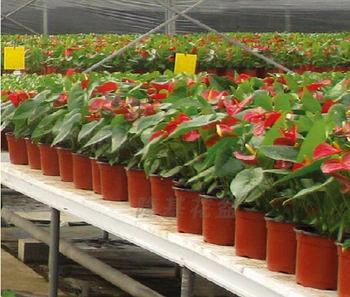 10vnt/daug plastiko vazonai žaliųjų augalų, gėlių vazonas plastikinis vasos decorativos de flores sodo puodai