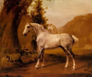 Aliejaus tapybai Stubbs, George - Pilkas Eržilas gražus arklys Kraštovaizdžio
