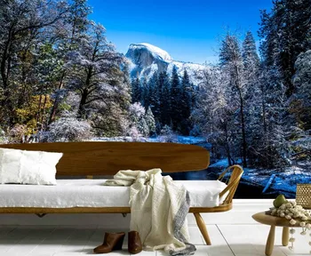 Custom 3D freskos,JAV Parkų Žiemos Peizažas Sniego Pobūdžio papel de parede ,gyvenamasis kambarys su sofa-lova, tv miegamojo sienos tapetai stereoskopinis