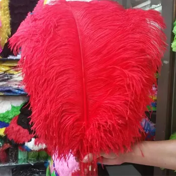 Didelis polių stručio plunksna raudonos plunksnos 10 vnt 60-65cm / 24-26 cm natūralių plunksnų, vestuvių papuošimai