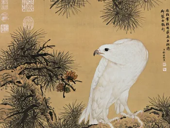 Erelis dažymo, Namų Biuro Apdailos Kinijos pažymėkite tapybos erelis ant Pušies medžio dažymas erelis nuotrauką