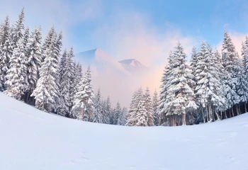 KATE Fonas Fotografijai Žiemos Sniego Miškų Kalnų Peizažas Fonas Mėlynas Dangus, Balti Clound Sluoksnių fotostudija