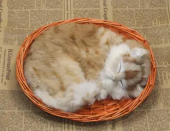 Mielas modeliavimas miega katė gyvas rankdarbių katė lėlės į krepšelį dovana, apie 25x21cm