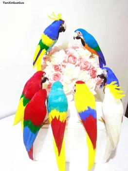 Modeliavimo papūga apie 32cm spalvingų plunksnų paukštis sunkiai modelis prop,namų, sodo puošmena papuošalai dovana s1460