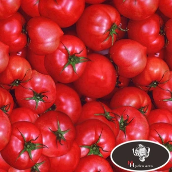 Naujumą Apdaila! Pomidorų Hidrografijos Kino Vandens Perdavimo Spausdinimo Filmas, Automobilių apdailos 50cm*10m aqva spausdinti HFD068