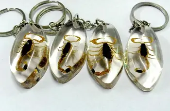 NEMOKAMAS PRISTATYMAS 10 vnt ovalo formos dizainas gotikos aukso skorpionas magic 