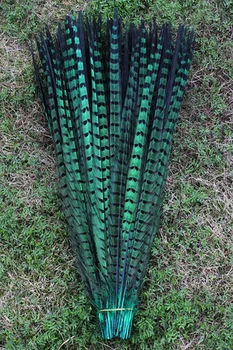 Nemokamas pristatymas 50 VNT. aukštos kokybės žalioji fazano uodegos 18-20inches/45-50cm