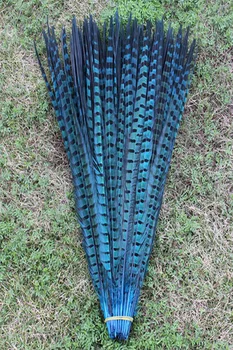 Nemokamas pristatymas 50 VNT Ežero mėlyna fazano uodegos plunksnos 20-22 cm / 50 - 55 cm