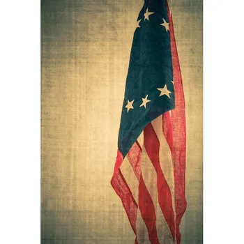 Plona vinilo fotografijos fone Amerikos vėliavos fone F-2768