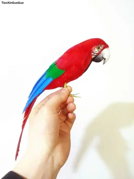 Spalvingos plunksnos raudona papūga paukštis, apie 32cm sunku modelio prop,namų, sodo puošmena papuošalai dovana s1466