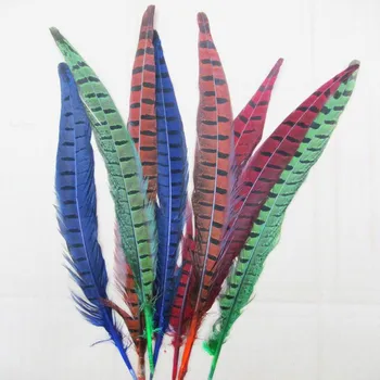 100vnt 30-35cm dažyti spalvų derinys natūralių nekilnojamojo fazano uodegos plunksnos plunksnos urmu parduoti už namo šalis vestuvių stalo dekoracija