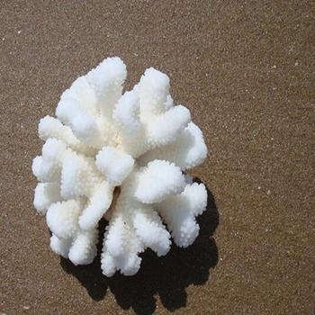 11-13CM Antipathes Koralai Natūralių Koralų Vandens Gyvūnų Kraštovaizdžio Papuošalų vitrinos Rekvizitai Dizainas