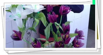 54 spalvų mišinys pristatymo ar tik viena spalva laivo dviejų spalvų gyvulių gėlės/nailono gėlių /šilko gėlių priėmimo/ 