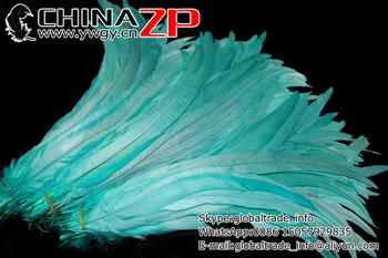 CHINAZP Gamyklos Didmeninė 500pieces/lot Ilgis 30~35cm(12~14inch) Aukščiausios Kokybės Dažytos Aqua Blue Vištos Gaidžio Uodegos Plunksnos