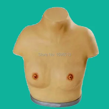 Išplėstinė Apžiūra ir Apčiuopa Krūties Simuliatorius, Krūties Savarankiškai tyrimo Modelis