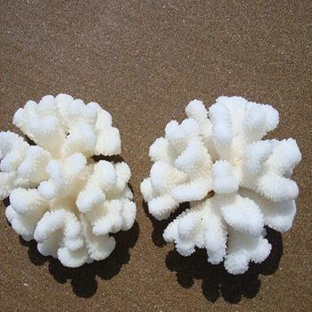 11-13CM Antipathes Koralai Natūralių Koralų Vandens Gyvūnų Kraštovaizdžio Papuošalų vitrinos Rekvizitai Dizainas