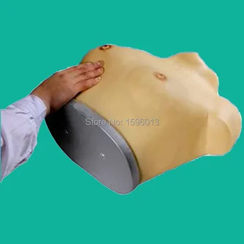 Išplėstinė Apžiūra ir Apčiuopa Krūties Simuliatorius, Krūties Savarankiškai tyrimo Modelis