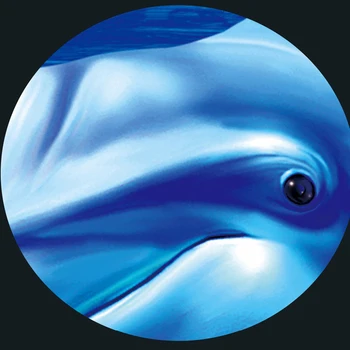 Povandeninio Pasaulio Mėlyna Giliai Vandenyno Animacinių filmų Ryklys Foto Freskos Kambarį Miegamojo Lubų, Sienų Dekoras neaustinių Užsakymą 3D Tapetai
