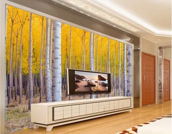 3d sienų freskomis tapetai sienos 3d kambario tapetai Beržas miškų kraštovaizdžio apdailos dažymo Pasirinktinius nuotraukų neaustinių freskos