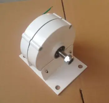 100w AC generatorius nuolatinis magnetas PMA pardavimui