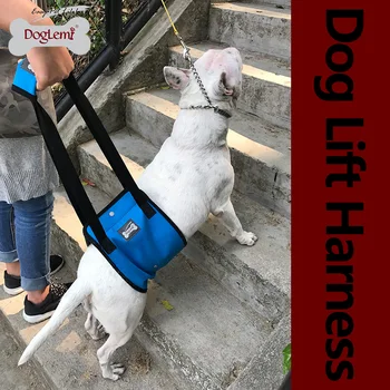Šuo, Pakelkite Paramos Reabilitacijos Balnai Šunų Pagalbos Padėti Diržas Padėti Su Mobilumo Senų Ir Jauniems Šunims Su Silpnas Kojas