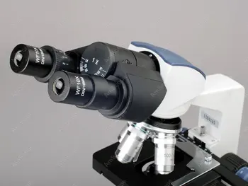 Žiūronų Junginys, Mikroskopu--AmScope Prekių 40X-2000X LED Lab Žiūronų Junginys, Mikroskopu w 3D Dviejų sluoksnių Mechaninė Etapas